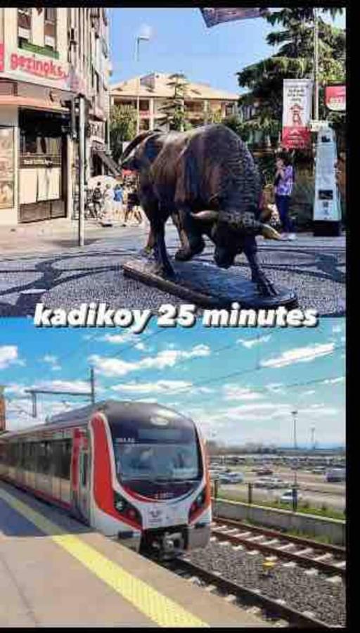 Kartal Lueks Daire Истанбул Екстериор снимка